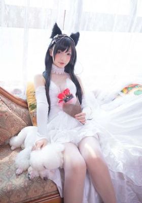 a级毛片免费真人-免费欧美动漫免费观看